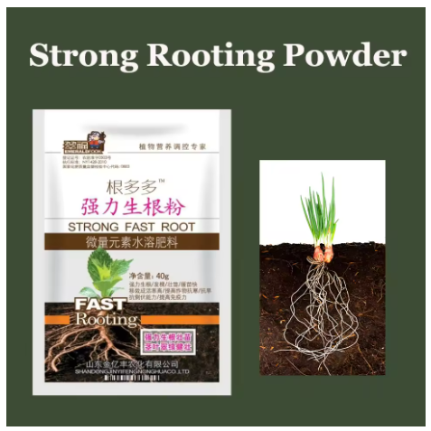 Rooting Hormone Powder - 植物用強力発根粉末、樹木・花卉用発根ホルモン、発根促進剤、発根強化剤